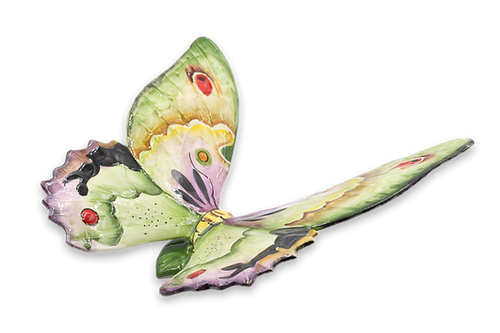 Farfalla Multicolorata Grande-Souvenir